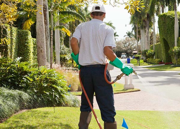 About Palmer Lake CO Pest Control